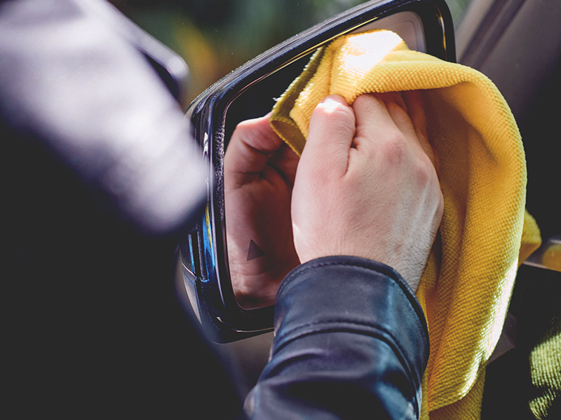 El Secreto del Brillo: La Cera de Carnauba